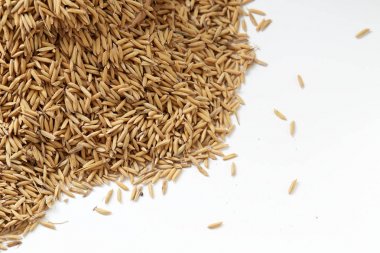 Arka plan kahverengi çeltik pirinç kapalı