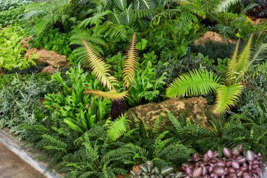 Rengarenk bahçeli yeşil çimenler