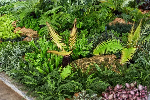 Rengarenk bahçeli yeşil çimenler