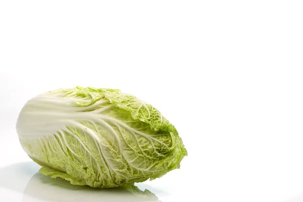 新鮮な白菜 — ストック写真