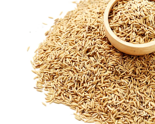 Kahverengi çeltik pirinç kapandı