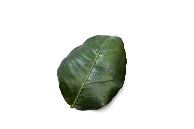 Güney Afrika'da bir kabile kireç bırakın