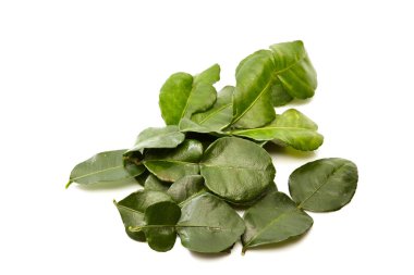 Kireç yaprak beyaz arka plan üzerinde