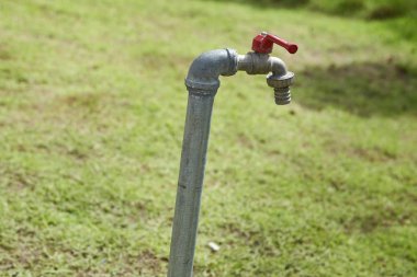 Bir musluk ile yeşil çimen arka plan / su tüketimi ve kullanım konsepti