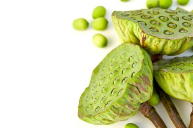 Lotus tohum beyaz zemin üzerine kapatın. en az