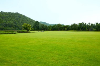 Çimlere ve doğanın güzelliği ile Dağları