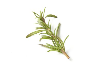 Biberiye beyaz arkaplanda izole edildi, Üst görünüm