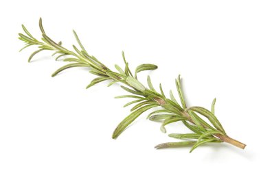 Biberiye beyaz arkaplanda izole edildi, Üst görünüm