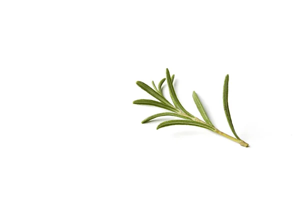 Rosemary Isolated White Background Top View — Stock Photo, Image