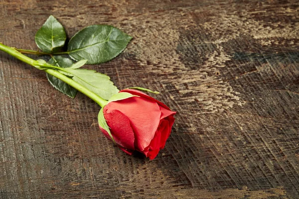 Uma Única Rosa Vermelha Uma Mesa Madeira Áspera Feliz Dia — Fotografia de Stock