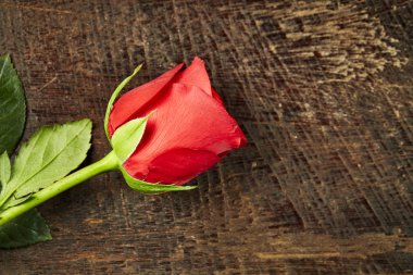 Bir kaba ahşap masa üzerinde tek bir kırmızı gül