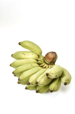 Muz grup hala beyaz zemin üzerine yeşil