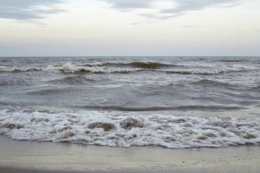 Güçlü dalgalar bir plajda. Gelen dalga deniz kenarında. Arka plan olarak kullanılabilir