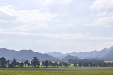 görünümü alan Tayland ve dağlar orman