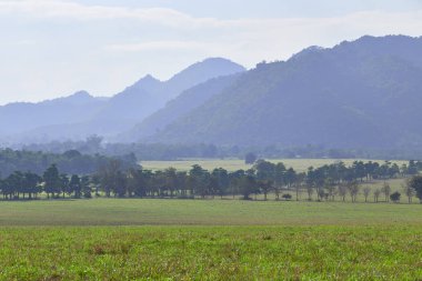 görünümü alan Tayland ve dağlar orman