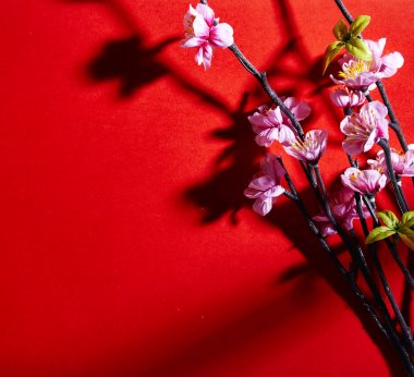 Çin yeni yıl süslemeleri, Erik çiçeği kırmızı kağıt kopya alanı üst görünümle