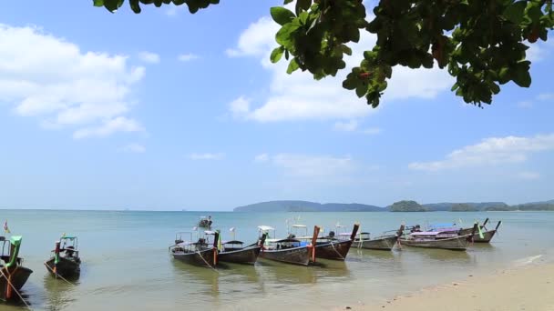 Krabi Tailandia Febrero 2018 Barcos Turísticos Tailandeses Decorados Con Coloridas — Vídeos de Stock