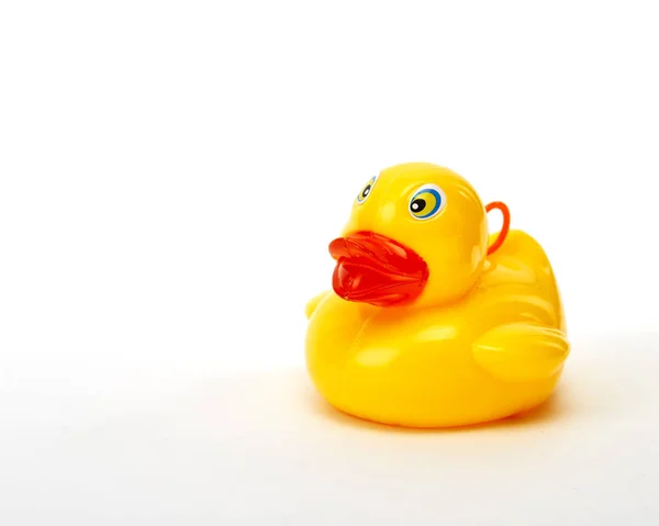 Yellow bath duck on white background — Stock Photo, Image