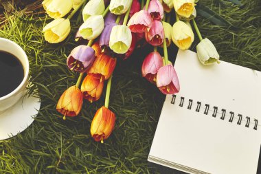 Düz koymak en az Paskalya bahar 