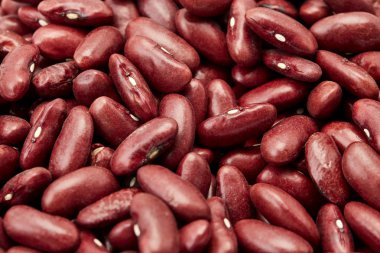 ham kahverengi barbunya fasulyesi