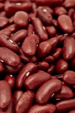 ham kahverengi barbunya fasulyesi