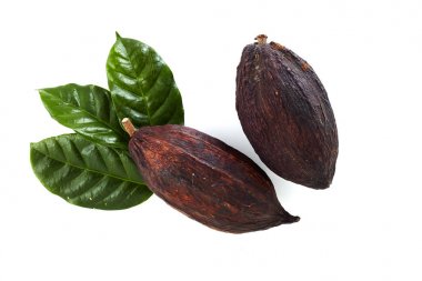 Kakao yaprağı üzerinde beyaz bir arka plan ile kakao bakla