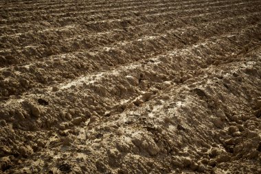 Ekimi için toprak hazırlanması