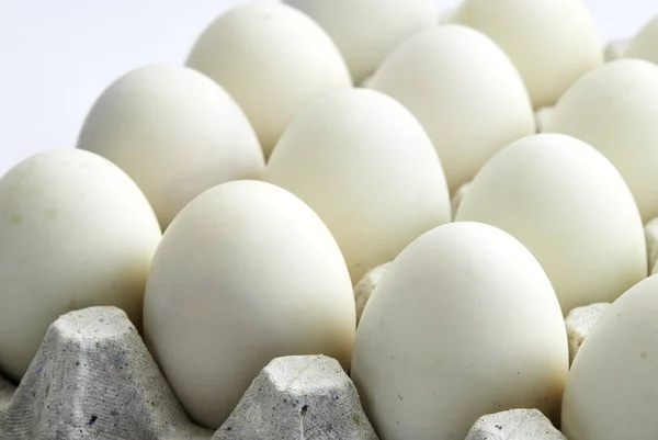 Huevos blancos sobre fondo blanco —  Fotos de Stock