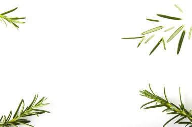 Beyaz arkaplanda taze biberiye