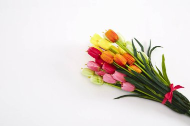 Beyaz arka planda bir buket lale.