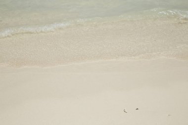 Güzel deniz yazı ya da bahar soyut arkaplanı