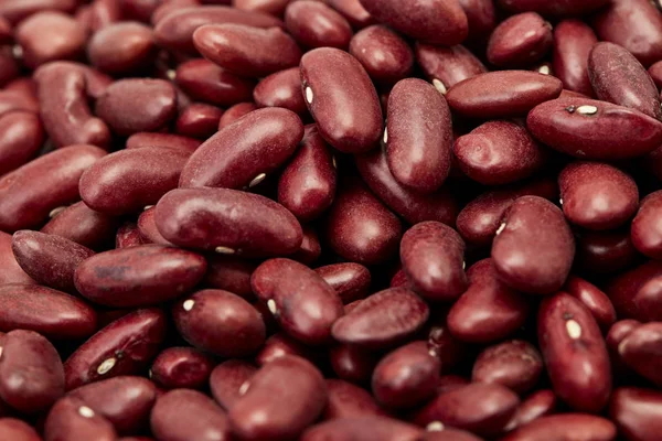 Raw brown kidney beans — Stock Photo, Image