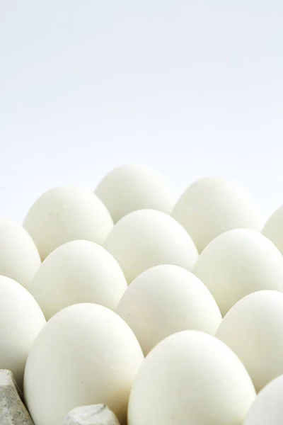 Huevos blancos sobre fondo blanco —  Fotos de Stock