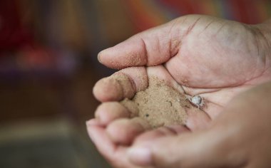 Elinde küçük Yengeç 