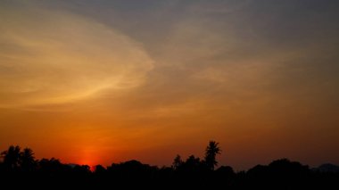 Günbatımı ağaçlar ve renkli gökyüzü
