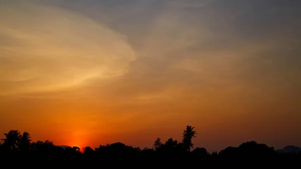 Sunset trees and colorful sky — Stock Photo, Image