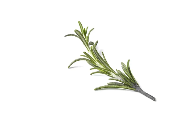 Rosemary herb closeup on white background — Stock Photo, Image