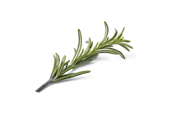 Rosemary herb closeup on white background — Stock Photo, Image