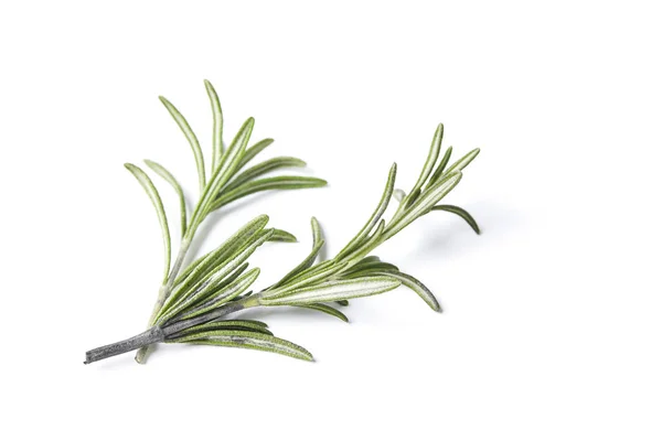 Rosemary herb closeup on white background — Stock Photo, Image