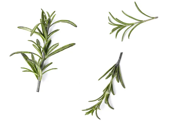 Rosemary herb closeup on white background — Stock Photo, Image