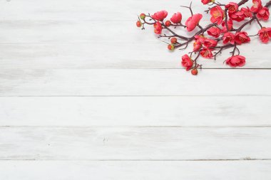 Erik çiçekleri beyaz tahta üzerinde çiçek açar.