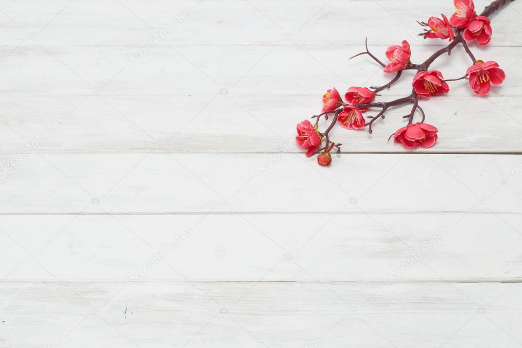 Plum Flowers Blossom on white wood plank