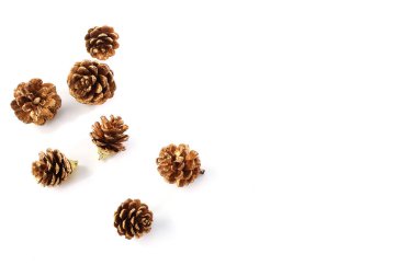 Beyaz arkaplanda çam kozalağı