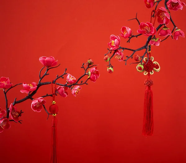 Decoração do ano novo chinês para o festival da primavera — Fotografia de Stock