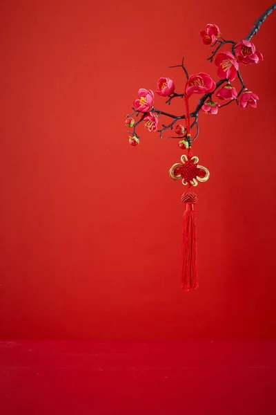 Decoração do ano novo chinês para o festival da primavera — Fotografia de Stock