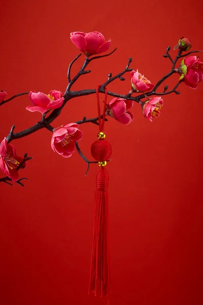 Διακόσμηση του κινεζικού νέου έτους για το Εαρινό Φεστιβάλ — Φωτογραφία Αρχείου