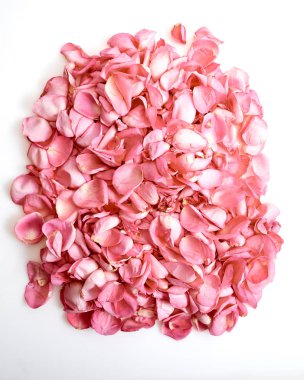 beyaz zemin üzerine pembe gül yaprakları