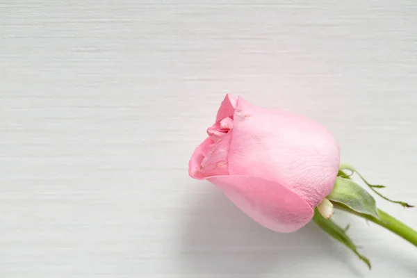 Uma rosa rosa na mesa — Fotografia de Stock