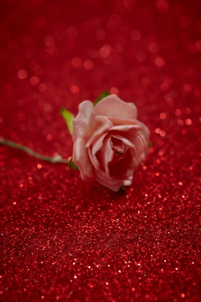 Rose mit Glitzer für Hintergrund — Stockfoto