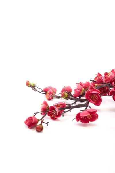 Cereja florescente com rosa brilhante — Fotografia de Stock
